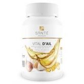 VITAL D'AIL